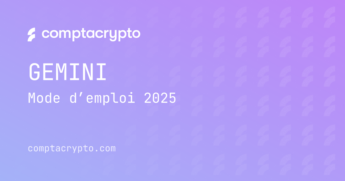 Mode d’emploi fiscal Gemini 2025